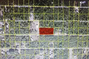 Tbd NE Ne 234th Pl, Fort Mc Coy, FL 32134 - Photo 1