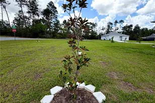 15943 SW 53rd Ct, Ocala, FL 34473 - Photo 18