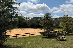 4251 NE 136th Ave, Williston, FL 32696 - Photo 18