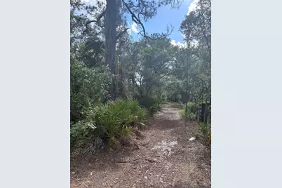 16464 NE 35 Road, Citra, FL 32113 - Photo 2