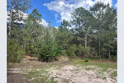 16464 NE 35 Road, Citra, FL 32113 - Photo 4