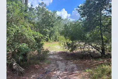 16464 NE 35 Road, Citra, FL 32113 - Photo 6