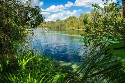 19423 SW 77th Loop, Dunnellon, FL 34432 - Photo 46