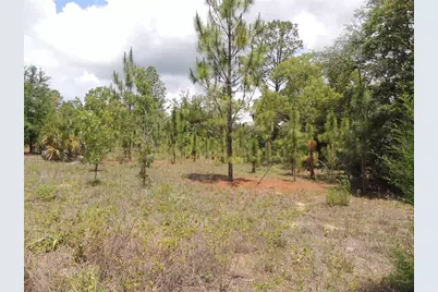 11351 SE 32nd Place, Morriston, FL 32668 - Photo 8