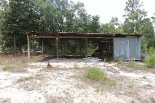 11351 SE 32 Pl, Morriston, FL 32668 - Photo 12