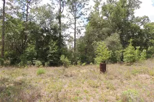 11351 SE 32 Pl, Morriston, FL 32668 - Photo 10