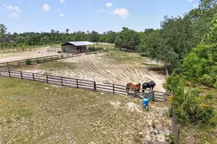 1098 NW 165th Ct Rd, Dunnellon, FL 34432 - Photo 34