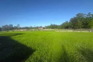 1098 NW 165th Ct Rd, Dunnellon, FL 34432 - Photo 36