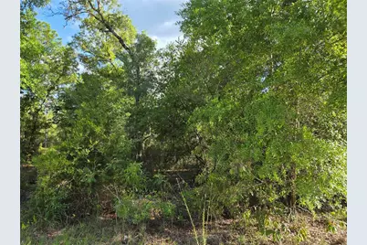 9070 NE 76th Street, Bronson, FL 32621 - Photo 2
