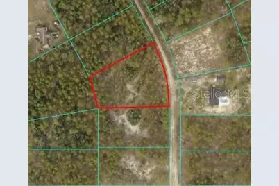 Tbd SW 127th Avenue Road, Ocala, FL 34481 - Photo 1