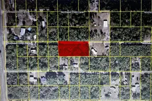 15370 NE 234th Pl, Fort Mc Coy, FL 32134 - Photo 1