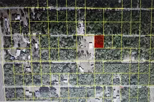Tbd NE 234th Ln, Fort Mc Coy, FL 32134 - Photo 1