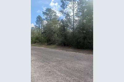 8791 N Folland Drive, Dunnellon, FL 34433 - Photo 4