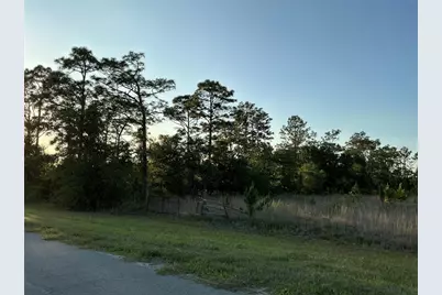 Reynolds Parkway, Orlando, FL 32833 - Photo 1