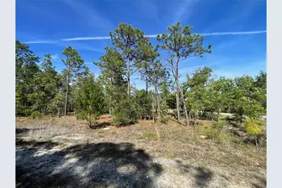Ne 7th Place, Williston, FL 32696 - Photo 6