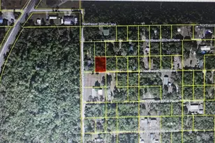 Tbd NE 201st Ln, Fort Mc Coy, FL 32134 - Photo 1