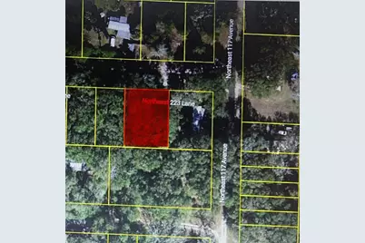 Tbd NE 223rd Lane, Fort Mc Coy, FL 32134 - Photo 1