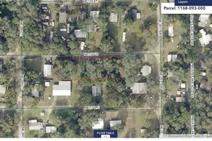 25130 NE 132nd Ln, Salt Springs, FL 32134 - Photo 18