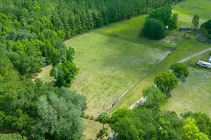 18585 N Hwy 329, Reddick, FL 32686 - Photo 12