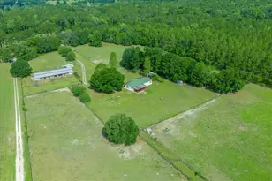 18585 N Hwy 329, Reddick, FL 32686 - Photo 14