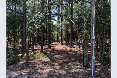 3890 SW 189th Avenue, Dunnellon, FL 34432 - Photo 6