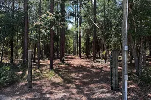 3890 SW 189th Ave, Dunnellon, FL 34432 - Photo 6