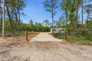 12671 NE 16 St, Williston, FL 32696 - Photo 2