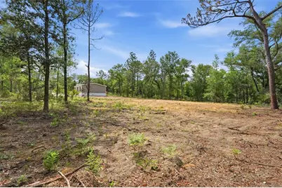 12671 NE 16th Street, Williston, FL 32696 - Photo 10