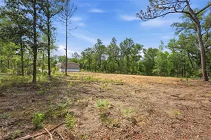12671 NE 16 St, Williston, FL 32696 - Photo 10