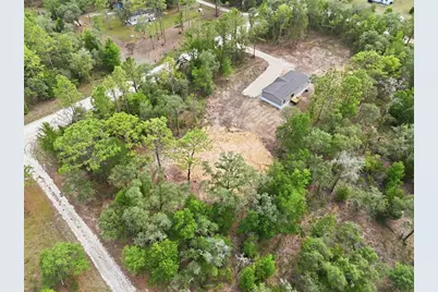 12671 NE 16th Street, Williston, FL 32696 - Photo 8