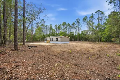 10451 NE 81st Street, Bronson, FL 32621 - Photo 4