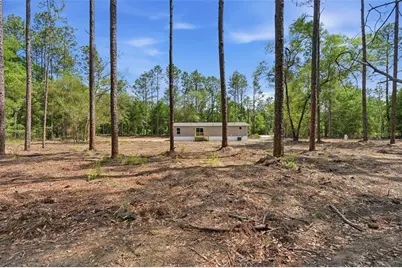 10451 NE 81st Street, Bronson, FL 32621 - Photo 10
