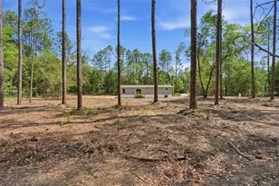 10451 NE 81 St, Bronson, FL 32621 - Photo 10