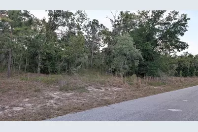 Sw Half Moon Drive, Dunnellon, FL 34431 - Photo 2