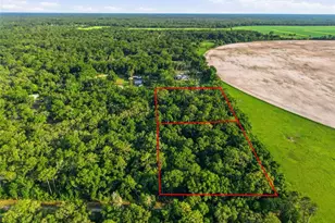 9291 NW 127th Pl, Chiefland, FL 32626 - Photo 72