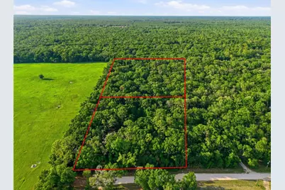 9291 NW 127th Place, Chiefland, FL 32626 - Photo 4