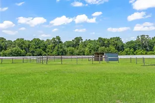 967 E Hwy 316, Citra, FL 32113 - Photo 28