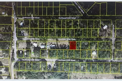 Tbd NE 225th Place, Fort Mc Coy, FL 32134 - Photo 1