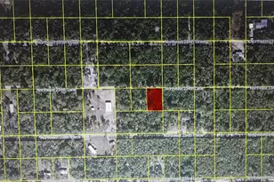 Tbd NE 234th Ln, Fort Mc Coy, FL 32134 - Photo 1