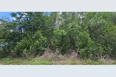 144th, Summerfield, FL 34491 - Photo 2