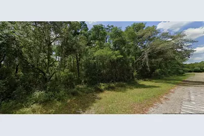 282 W Whitmarsh Court, Dunnellon, FL 34434 - Photo 1