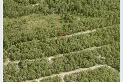 719 E Byrd Loop, Dunnellon, FL 34434 - Photo 6