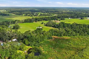 6681 Cr 665, Bushnell, FL 33513 - Photo 8