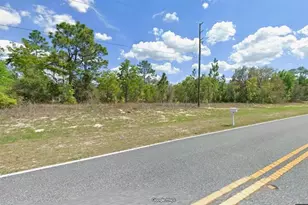 10697 N Elkcam Blvd, Citrus Springs, FL 34433 - Photo 1