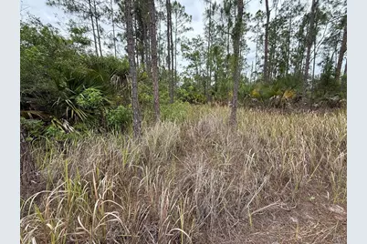 1106 W 13th Street, Lehigh Acres, FL 33972 - Photo 4