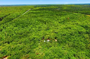 16274 NE 153rd Ln, Fort Mc Coy, FL 32134 - Photo 68