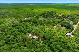 16274 NE 153rd Ln, Fort Mc Coy, FL 32134 - Photo 64