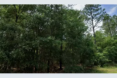 864 W Bannister Drive, Citrus Springs, FL 34434 - Photo 2