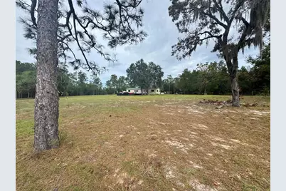 4551 NE 132nd Court, Williston, FL 32696 - Photo 4