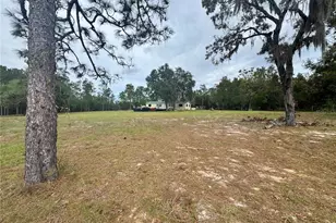 4551 NE 132nd Ct, Williston, FL 32696 - Photo 4